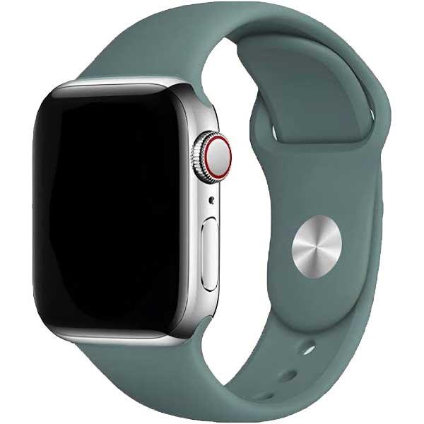 Bracelet Apple Watch Vyon - silicone - cactus